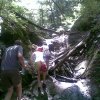 20080705(005) (Medium)